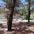  Terreno (Parcela) en venta en La Costa, Buenos Aires, La Costa