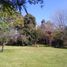  Land for sale in Brandsen, Buenos Aires, Brandsen