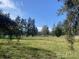  Land for sale in La Plata, Buenos Aires, La Plata