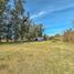  Land for sale in Santa Fe, Rosario, Santa Fe