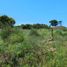  Terrain for sale in La Costa, Buenos Aires, La Costa