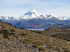  Land for sale in Huiliches, Neuquen, Huiliches