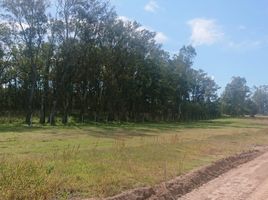  Terrain for sale in Campana, Buenos Aires, Campana