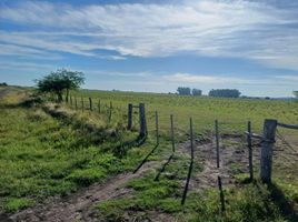  Terreno (Parcela) en venta en Colon, Entre Rios, Colon