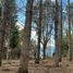  Land for sale in Rio Negro, Bariloche, Rio Negro