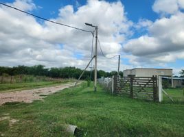  Land for sale in La Plata, Buenos Aires, La Plata