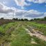  Land for sale in La Plata, Buenos Aires, La Plata