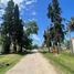  Land for sale in La Plata, Buenos Aires, La Plata