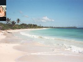  Terreno (Parcela) en venta en Othon P Blanco, Quintana Roo, Othon P Blanco