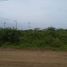  Terrain for sale in San Vicente, Manabi, San Vicente, San Vicente