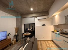 Studio Wohnung zu vermieten in Nuevo Leon, Monterrey, Nuevo Leon