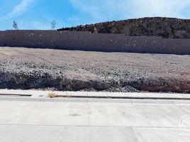  Terreno (Parcela) en venta en Chihuahua, Chihuahua, Chihuahua, Chihuahua