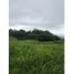  Land for sale in Pereira, Risaralda, Pereira