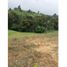  Land for sale in Pereira, Risaralda, Pereira