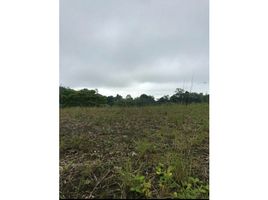  Land for sale in Pereira, Risaralda, Pereira