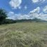  Land for sale in Pereira, Risaralda, Pereira