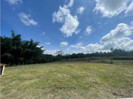  Land for sale in Pereira, Risaralda, Pereira