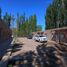1 Bedroom Apartment for rent in Anelo, Neuquen, Anelo, Neuquen