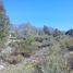  Terreno (Parcela) en venta en Las Heras, Mendoza, Las Heras
