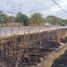  Terreno (Parcela) en alquiler en Colon, Querétaro, Colon