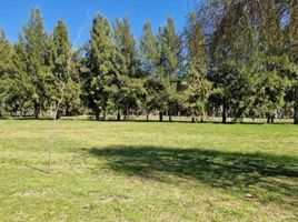  Land for sale in Brandsen, Buenos Aires, Brandsen