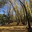  Land for sale in Neuquen, Confluencia, Neuquen