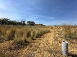  Grundstück zu verkaufen in Zinacatepec, Mexico, Zinacatepec