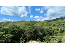  Land for sale in Valle Del Cauca, Jamundi, Valle Del Cauca