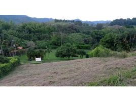  Land for sale in Caldas, Palestina, Caldas