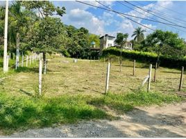  Land for sale in Palmira, Valle Del Cauca, Palmira