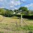  Land for sale in Palmira, Valle Del Cauca, Palmira