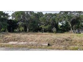  Land for sale in La Pintada, Cocle, Piedras Gordas, La Pintada