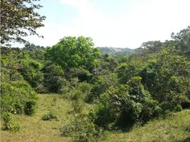  Terreno (Parcela) en venta en Chilibre, Ciudad de Panamá, Chilibre
