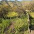  Terreno (Parcela) en venta en Colina, Chacabuco, Colina