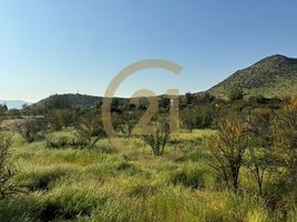  Terreno (Parcela) en venta en Colina, Chacabuco, Colina