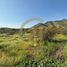  Terreno (Parcela) en venta en Colina, Chacabuco, Colina