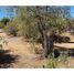  Land for sale in Chile, Santiago, Santiago, Santiago, Chile