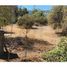  Land for sale in Chile, Santiago, Santiago, Santiago, Chile