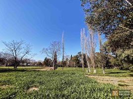  Grundstück zu verkaufen in La Plata, Buenos Aires, La Plata