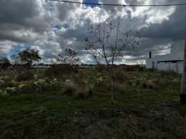  Land for sale in La Plata, Buenos Aires, La Plata