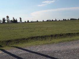  Land for sale in Monte, Buenos Aires, Monte