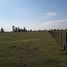  Land for sale in Monte, Buenos Aires, Monte