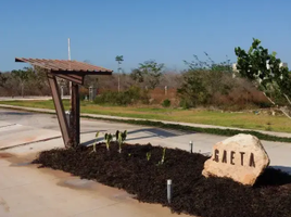  Terrain for sale in Merida, Yucatan, Merida