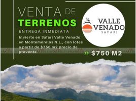 Studio Quinta for sale in Montemorelos, Nuevo Leon, Montemorelos, Nuevo Leon