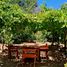  Land for sale in Chile, Quilpue, Valparaiso, Valparaiso, Chile