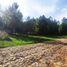  Terrain for sale in Atemajac De Brizuela, Jalisco, Atemajac De Brizuela