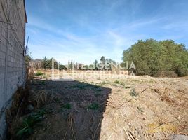  Land for sale in Atenco, Mexico, Atenco