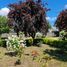  Land for sale in Biobío, Concepcion, Concepción, Biobío