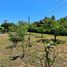  Land for sale in Biobío, Concepcion, Concepción, Biobío