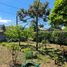  Grundstück zu verkaufen in Concepcion, Biobío, Concepcion, Concepción, Biobío